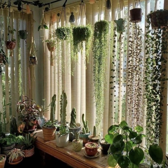 Meet your Posher, Sara - Picture 2 of 3